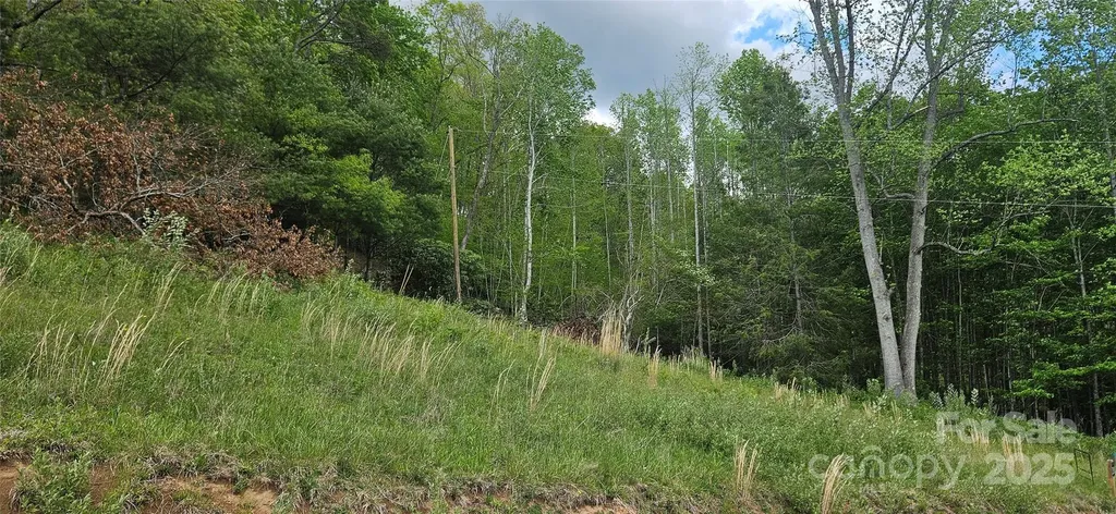 0 Clear Creek Drive Newland NC 28657