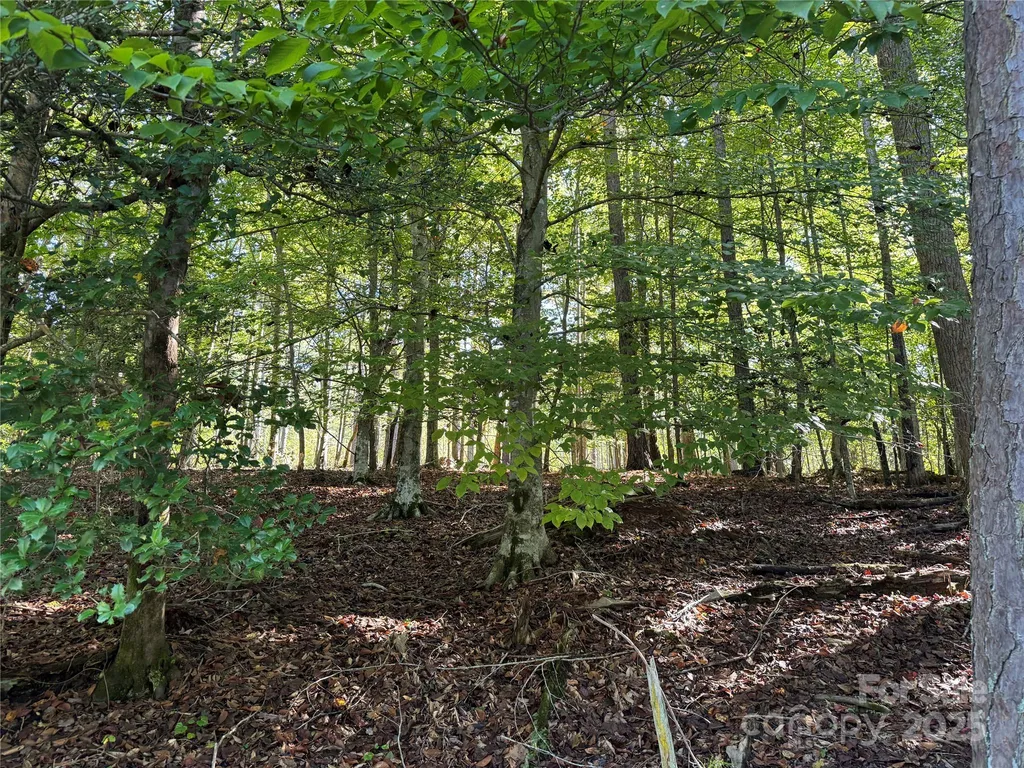 00 Hayes Mill Road Granite Falls NC 28630
