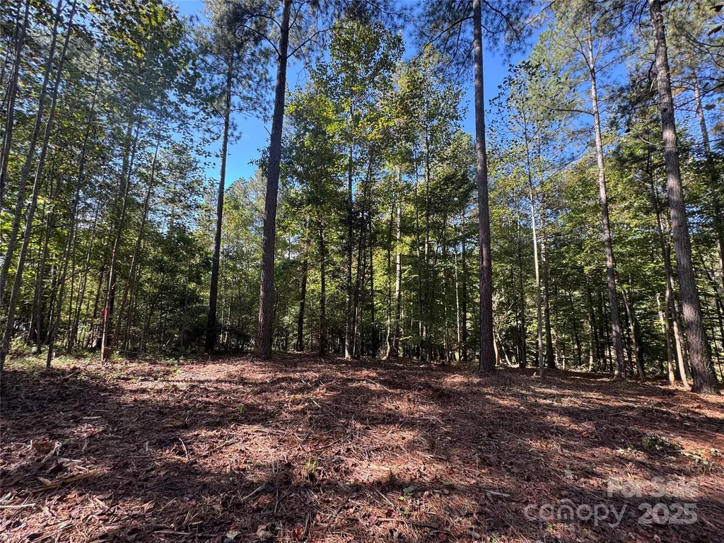 00 Hayes Mill Road Granite Falls NC 28630