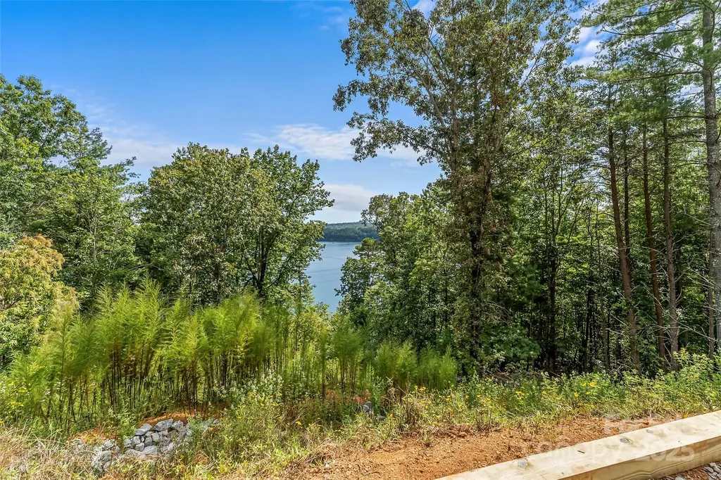 264 Porters Way Nebo NC 28761