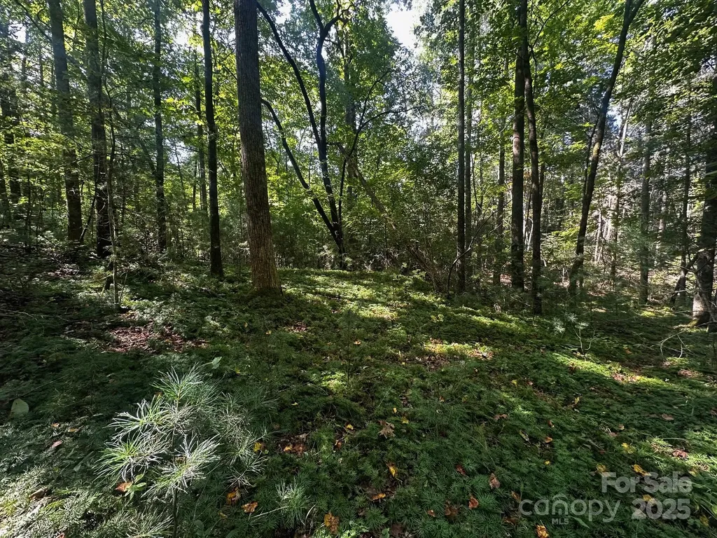 0000 Moss Hill Lane Lake Lure NC 28746