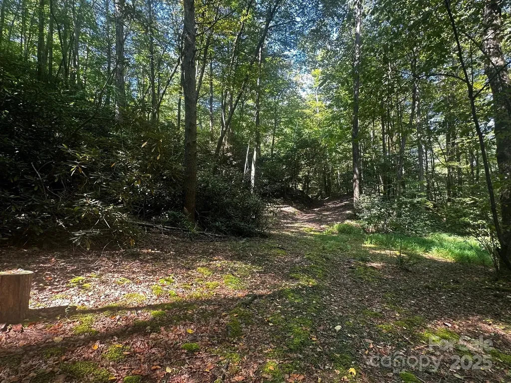 0000 Moss Hill Lane Lake Lure NC 28746