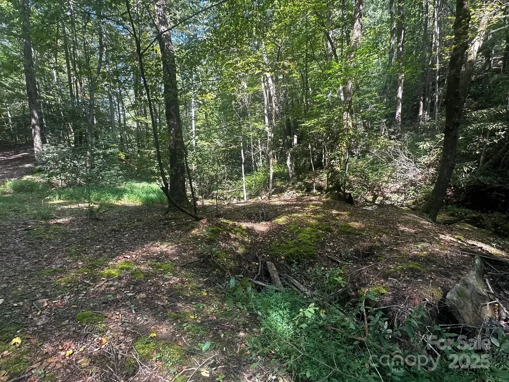 0000 Moss Hill Lane Lake Lure NC 28746