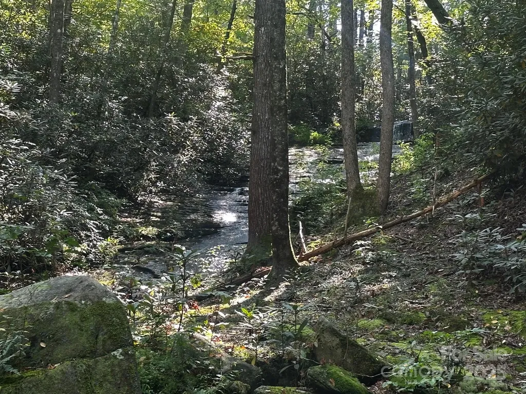 0000 Moss Hill Lane Lake Lure NC 28746
