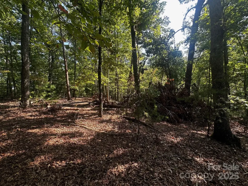 0000 Moss Hill Lane Lake Lure NC 28746
