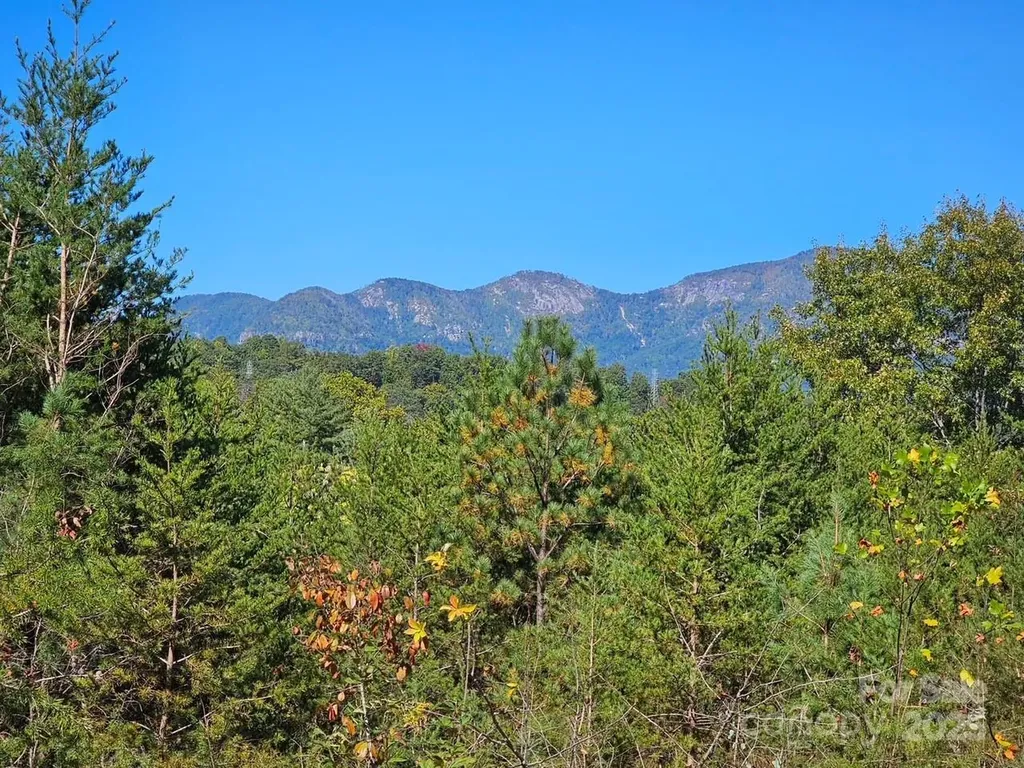 0000 Moss Hill Lane Lake Lure NC 28746