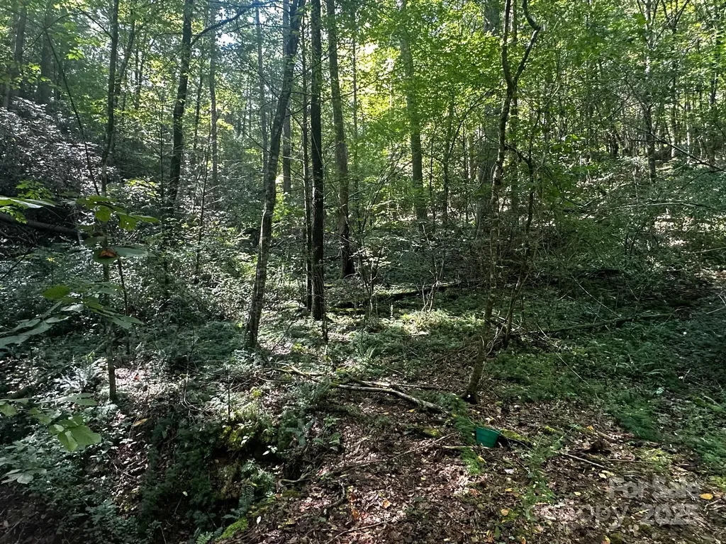 0000 Moss Hill Lane Lake Lure NC 28746