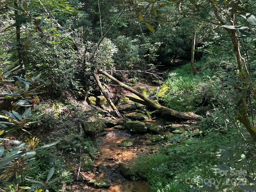 0000 Moss Hill Lane Lake Lure NC 28746