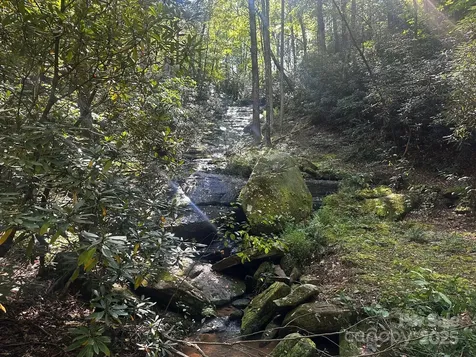 0000 Moss Hill Lane Lake Lure NC 28746