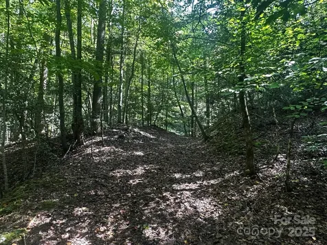 0000 Moss Hill Lane Lake Lure NC 28746