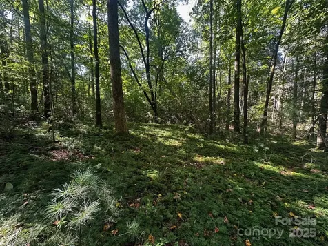 0000 Moss Hill Lane Lake Lure NC 28746