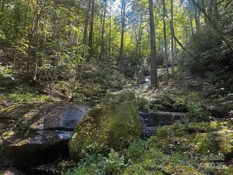 0000 Moss Hill Lane Lake Lure NC 28746