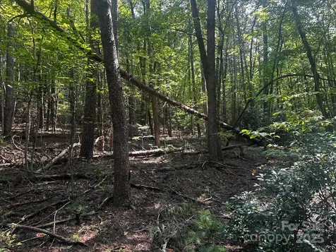 0000 Moss Hill Lane Lake Lure NC 28746
