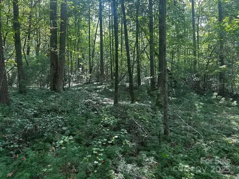 0000 Moss Hill Lane Lake Lure NC 28746