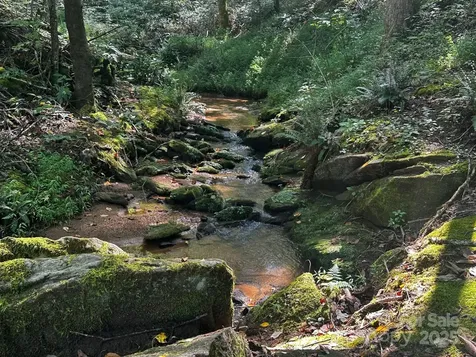 0000 Moss Hill Lane Lake Lure NC 28746
