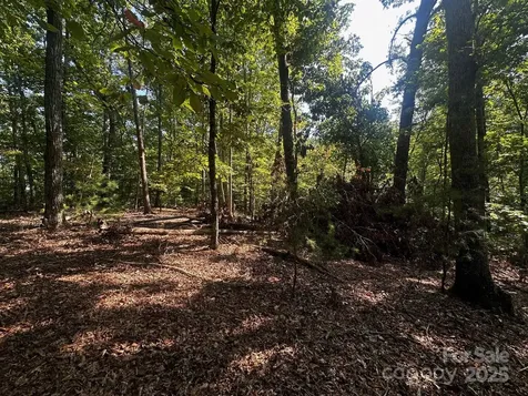 0000 Moss Hill Lane Lake Lure NC 28746