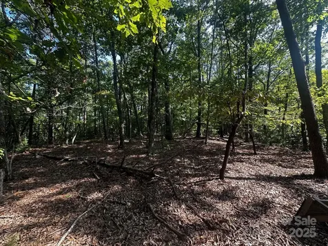 0000 Moss Hill Lane Lake Lure NC 28746