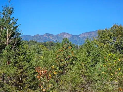 0000 Moss Hill Lane Lake Lure NC 28746