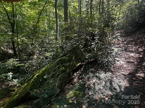0000 Moss Hill Lane Lake Lure NC 28746