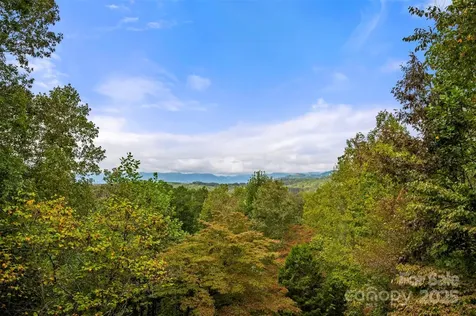 167 Balfour Drive Rutherfordton NC 28139