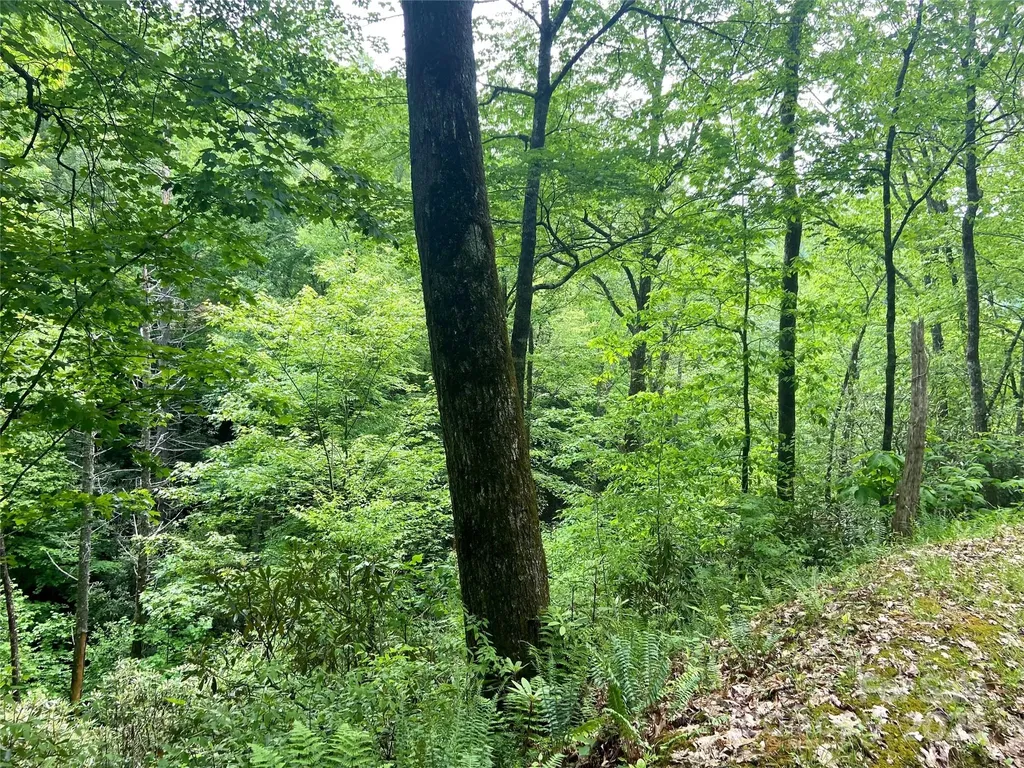 Lot 10 Mystic Forest Way Bryson City NC 28713
