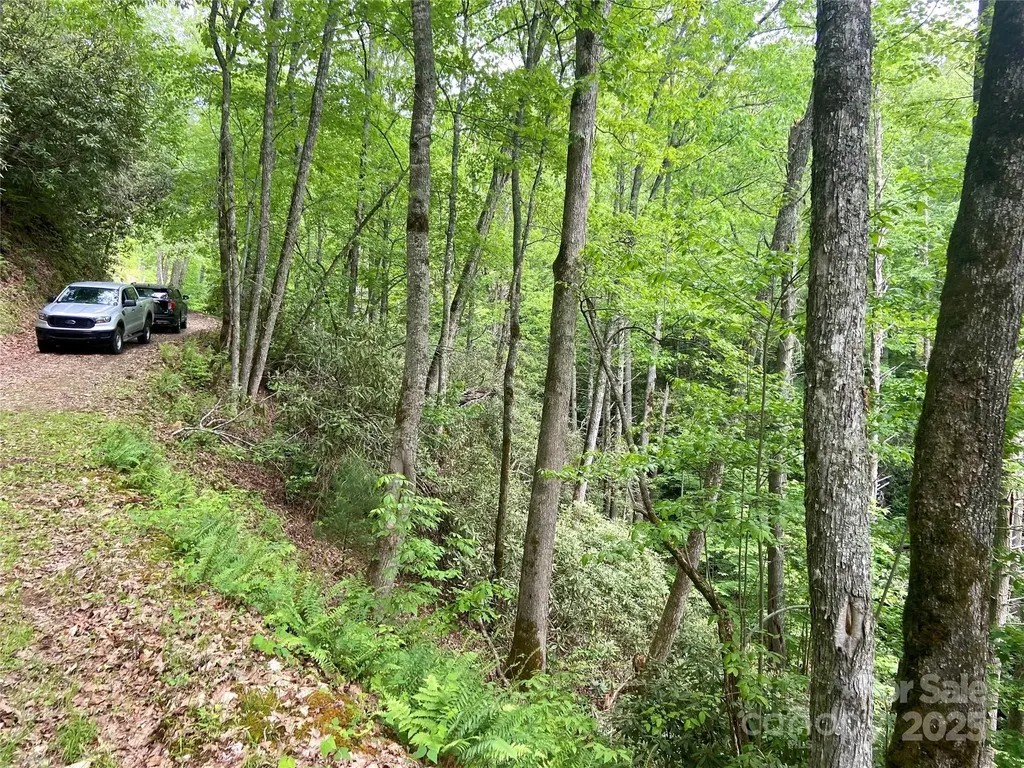 Lot 10 Mystic Forest Way Bryson City NC 28713