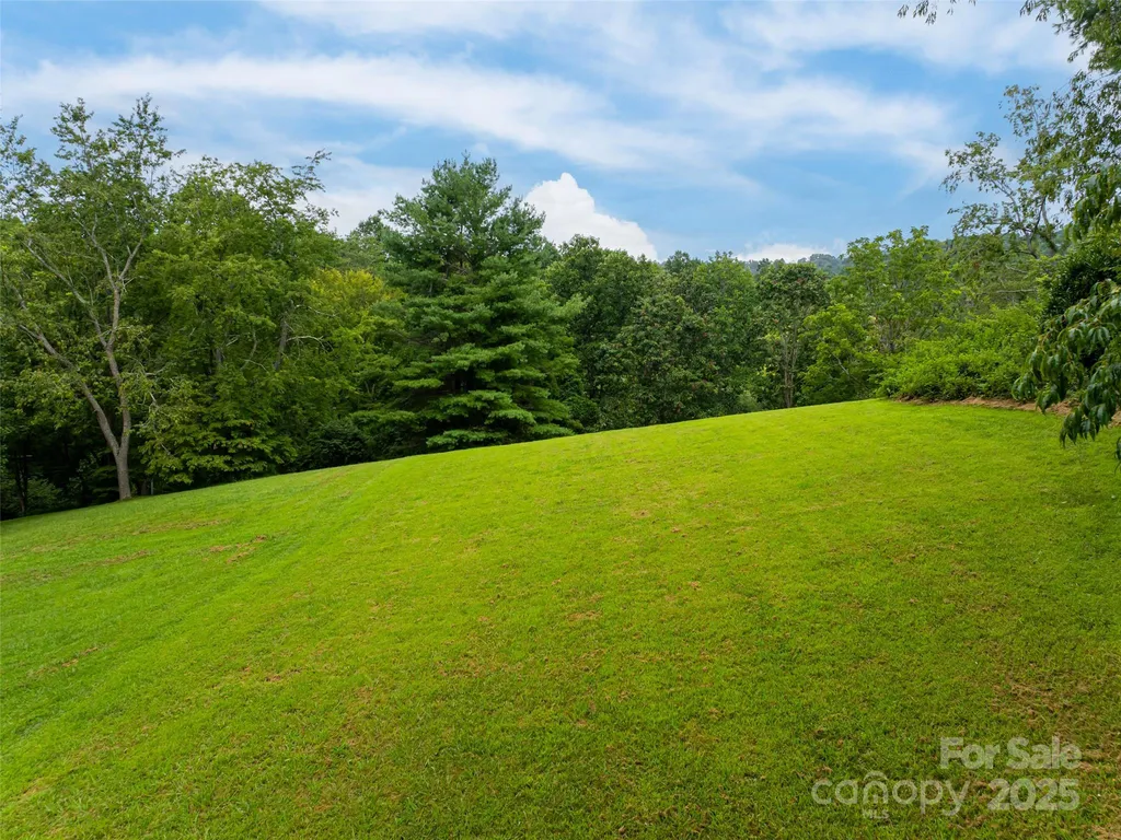 91 Carter Cove Road Asheville NC 28804