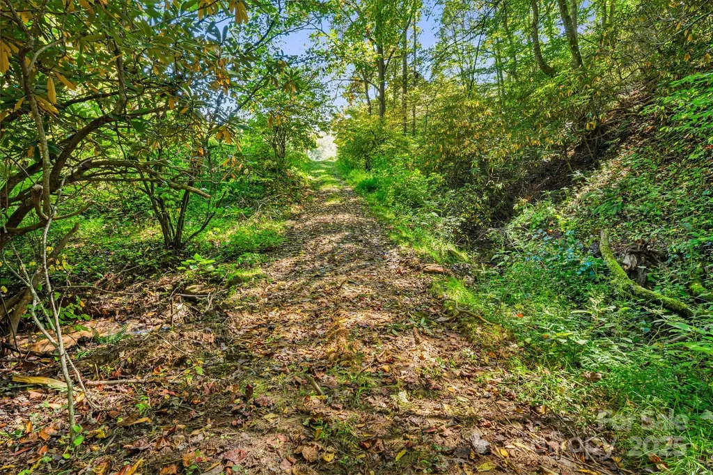 000 Maney Branch Road Burnsville NC 28714