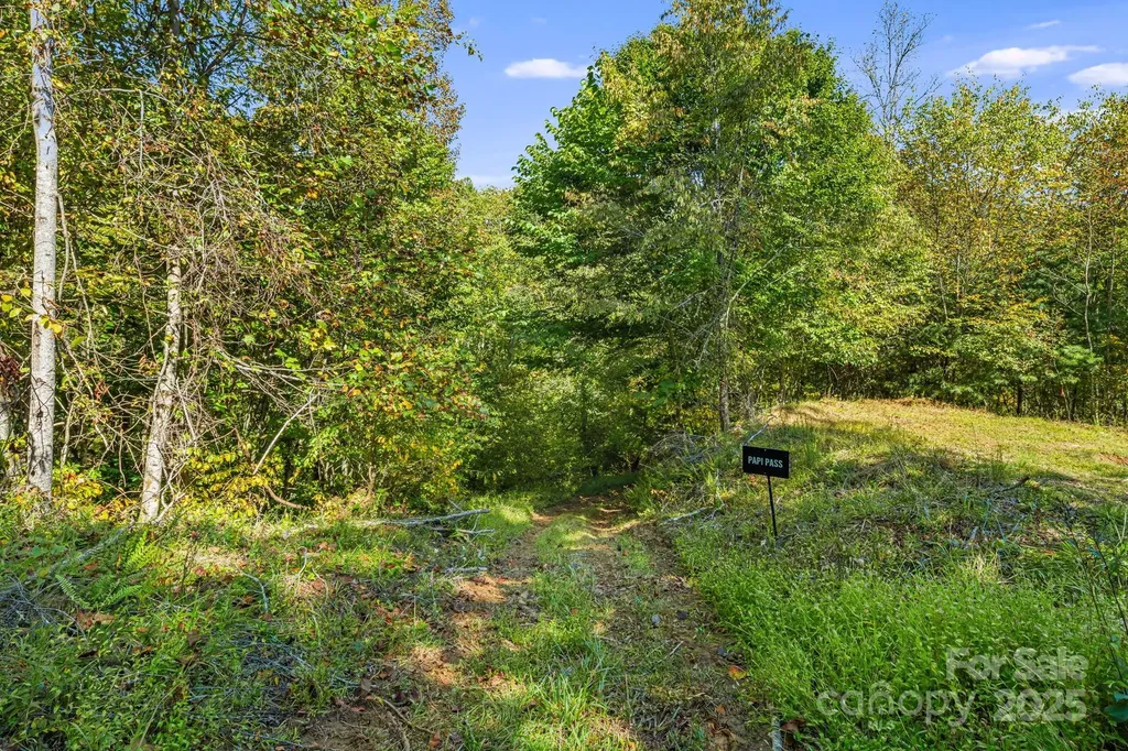 000 Maney Branch Road Burnsville NC 28714