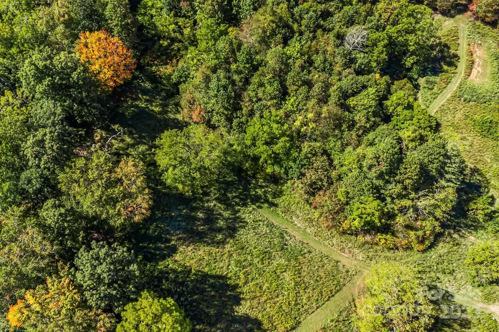 000 Maney Branch Road Burnsville NC 28714