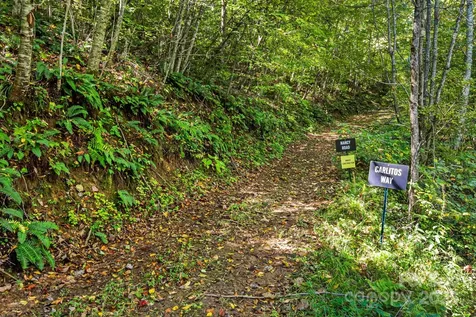 000 Maney Branch Road Burnsville NC 28714