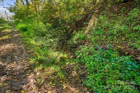 000 Maney Branch Road Burnsville NC 28714
