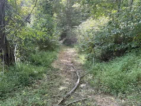 000 Maney Branch Road Burnsville NC 28714