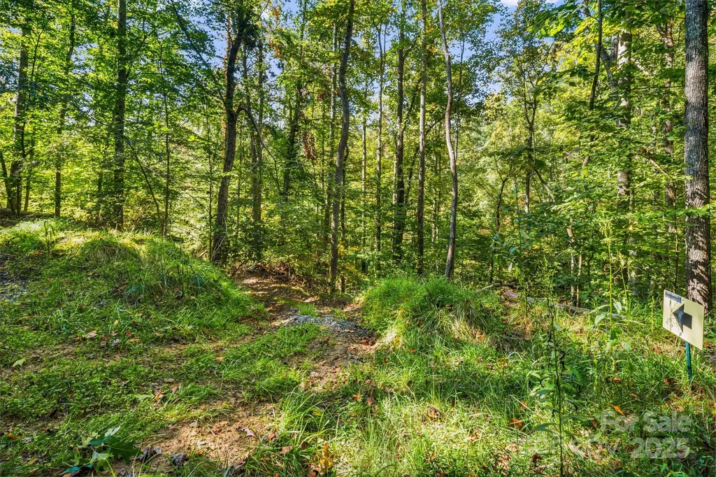 456 Maney Branch Road Burnsville NC 28714