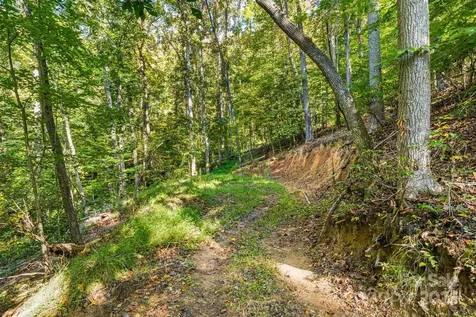 456 Maney Branch Road Burnsville NC 28714