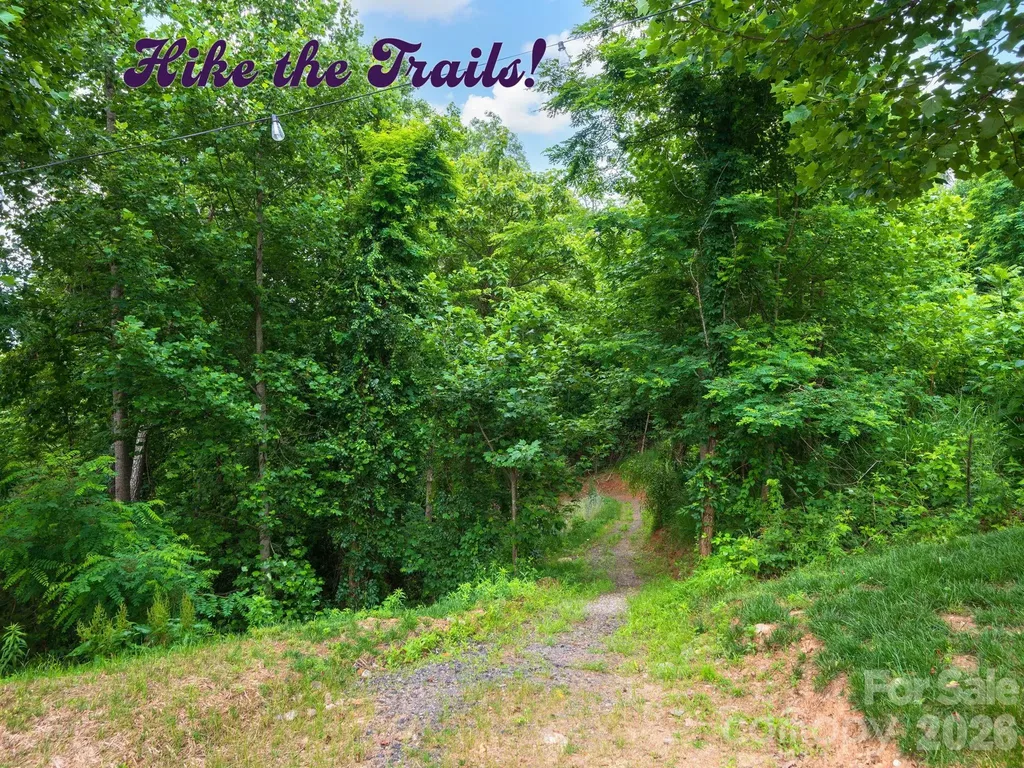 157 Waightstill Drive Arden NC 28704