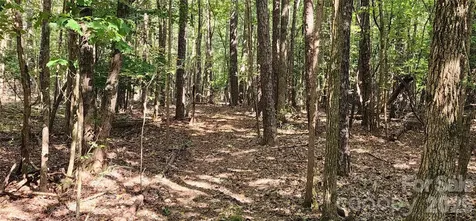 1115 John Short Road Indian Land SC 29707