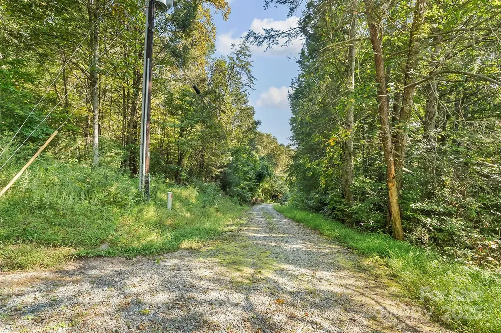 719 And 899 Mchone Drive Old Fort NC 28762