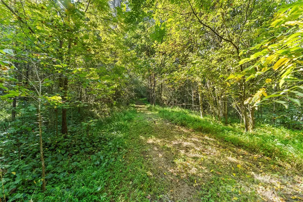 719 And 899 Mchone Drive Old Fort NC 28762