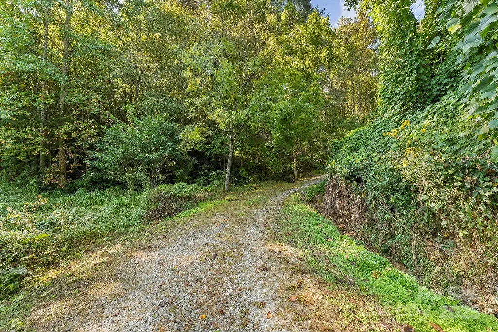 719 And 899 Mchone Drive Old Fort NC 28762