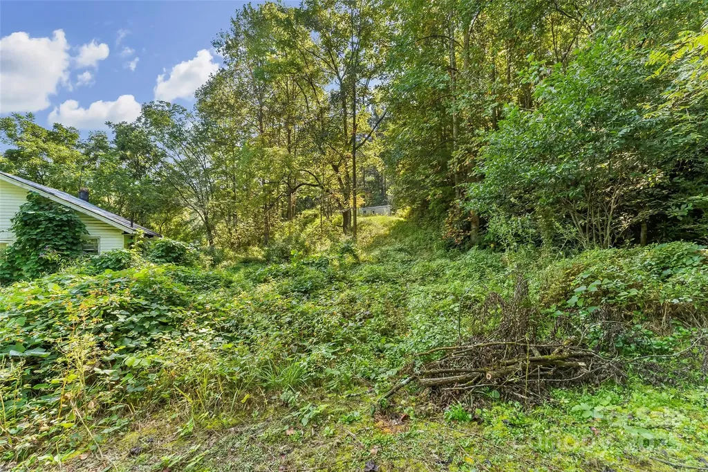 719 And 899 Mchone Drive Old Fort NC 28762
