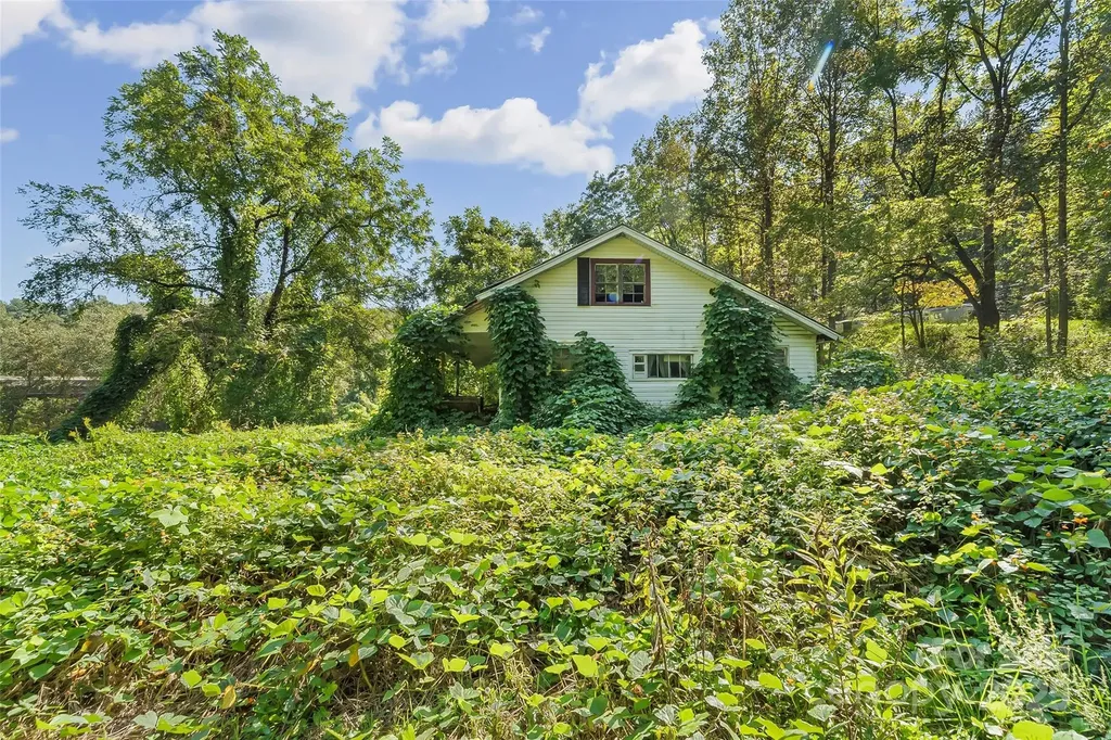 719 And 899 Mchone Drive Old Fort NC 28762
