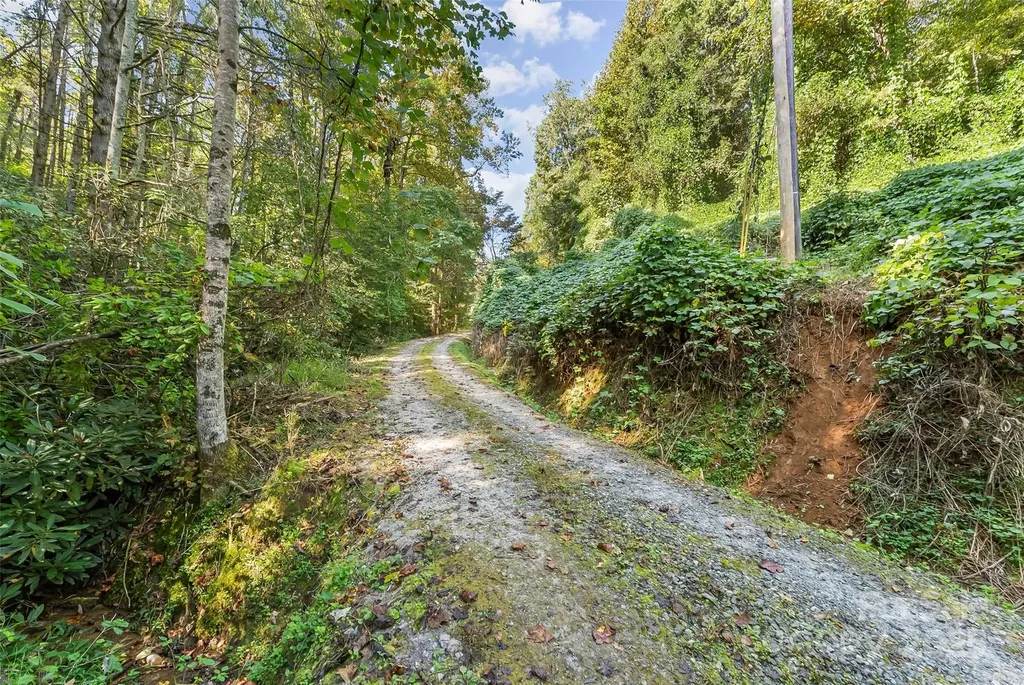 719 And 899 Mchone Drive Old Fort NC 28762