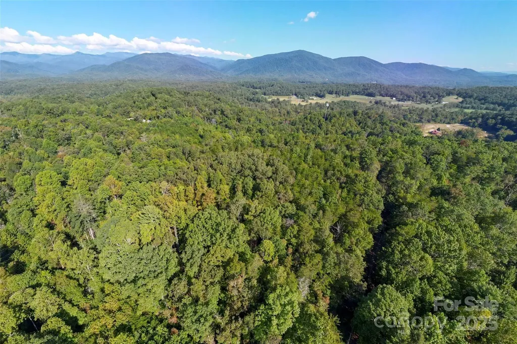 719 And 899 Mchone Drive Old Fort NC 28762