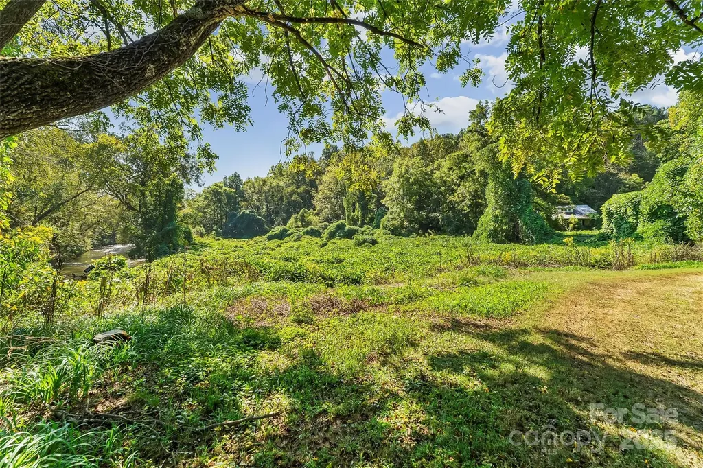 719 And 899 Mchone Drive Old Fort NC 28762