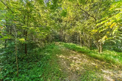 719 & 899 Mchone Drive Old Fort NC 28762