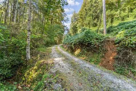 719 & 899 Mchone Drive Old Fort NC 28762
