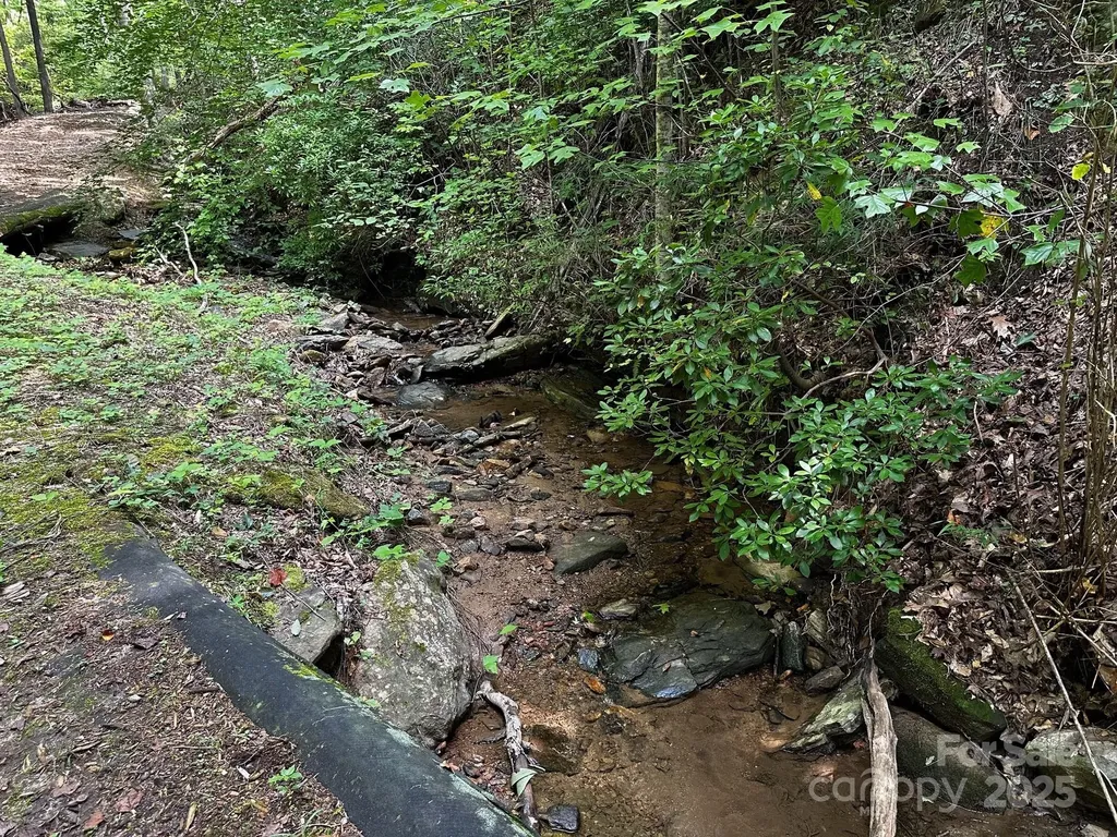 9999 Rock Ledge Drive Lake Lure NC 28746