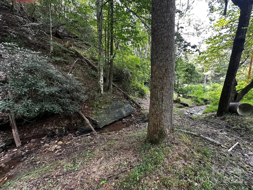 9999 Rock Ledge Drive Lake Lure NC 28746
