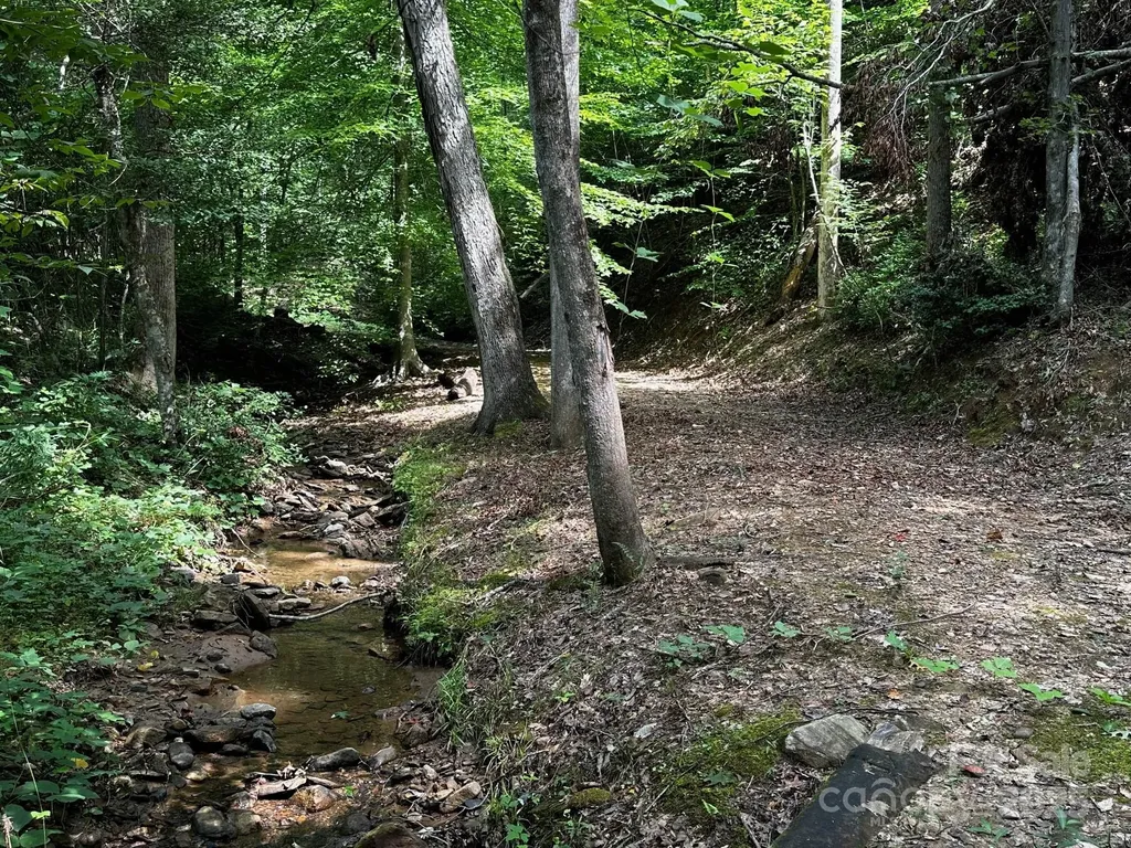 9999 Rock Ledge Drive Lake Lure NC 28746